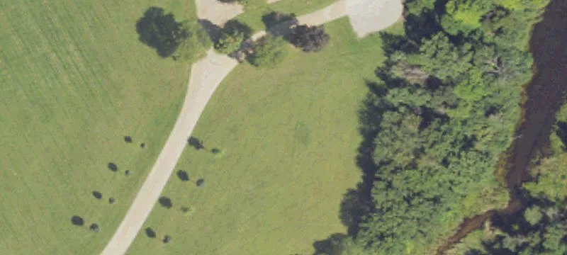 9800 Brooklawn Ct