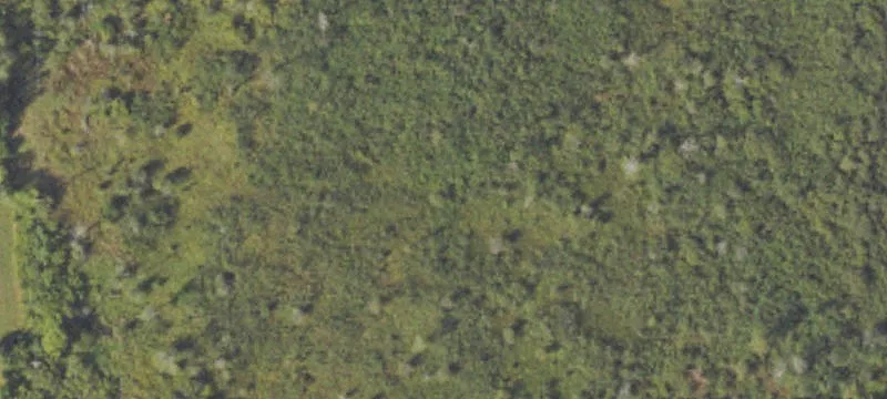 Wakefield, MI 49968