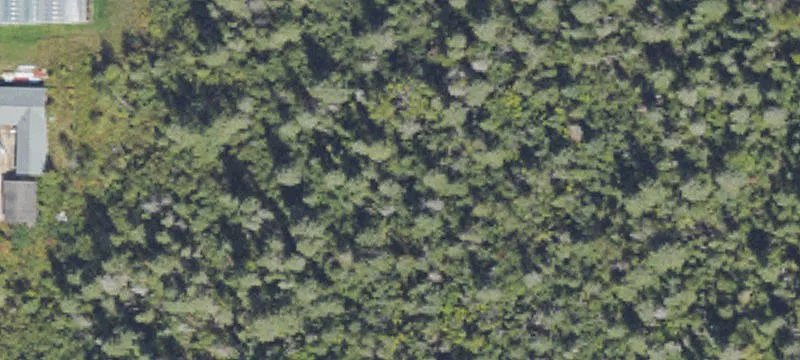 2260 M 33