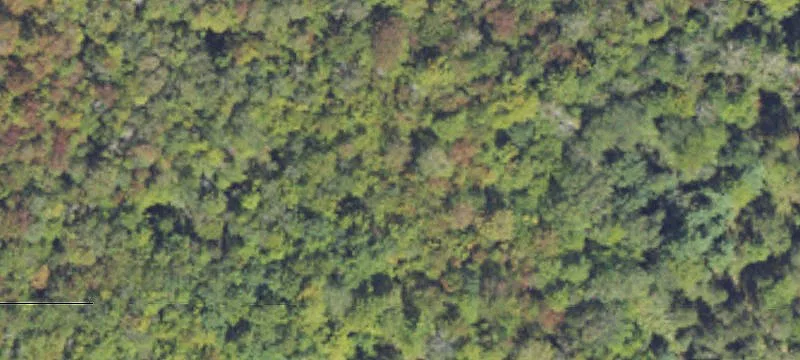 Free Soil, MI 49411