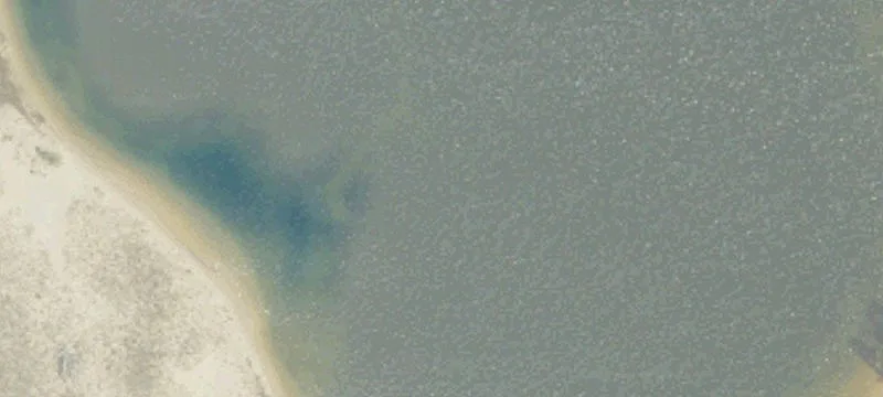 Ludington, MI 49431