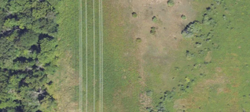 Fremont, MI 49412