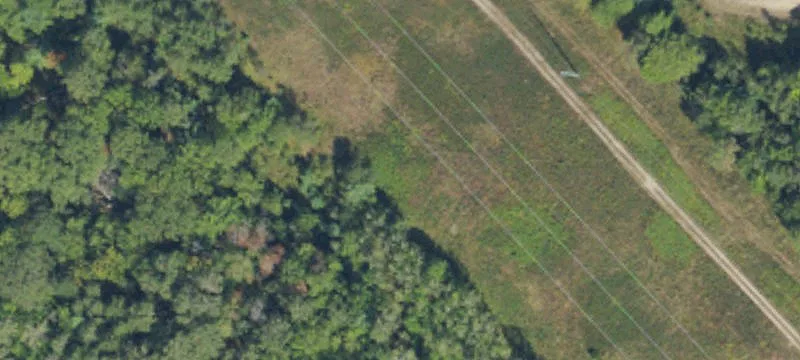 Lewiston, MI 49756