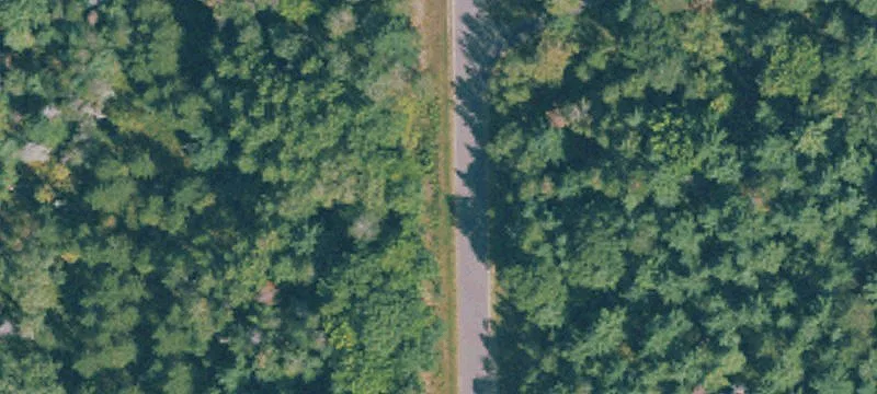 Wagner Dr