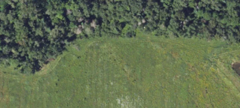 3815 11th Mile Rd