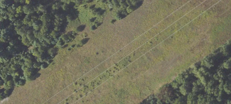 Kaleva, MI 49645