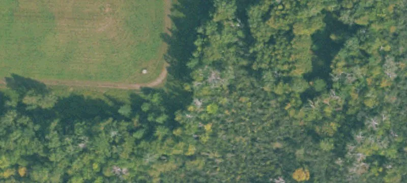 577 County Rd 577