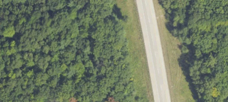 Pierson, MI 49339