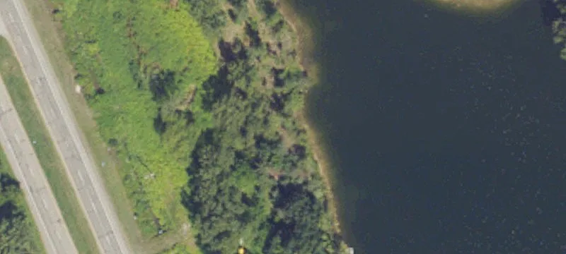 15 Cedarwoods