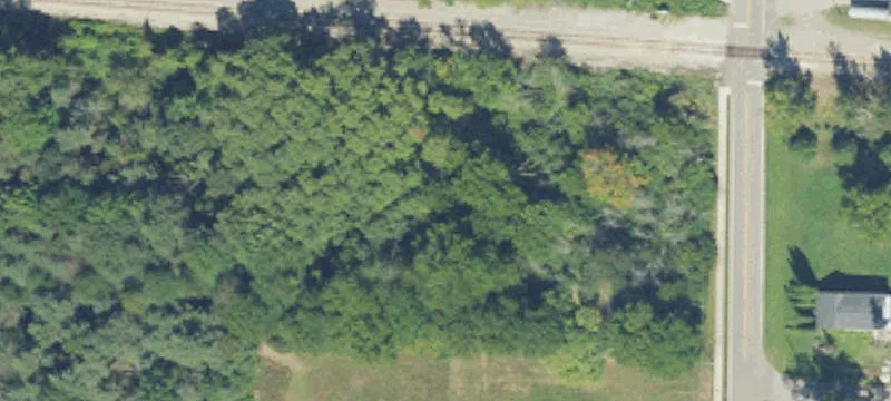 Custer, MI 49405