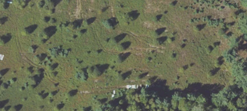 Kaleva, MI 49645