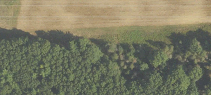 Walkerville, MI 49459