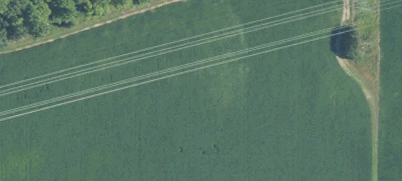 Middleton, MI 48856