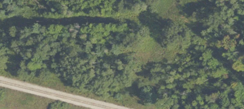 Branch, MI 49402