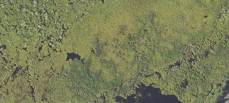 Osceola Rd