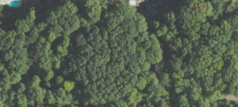 Oakview Dr