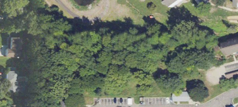 Paddock Dr