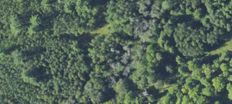 Bergman Rd
