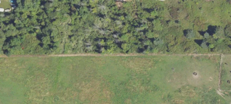 Clare, MI 48617