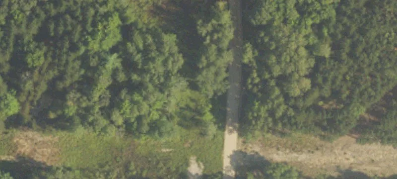 23361 8th Mile Rd