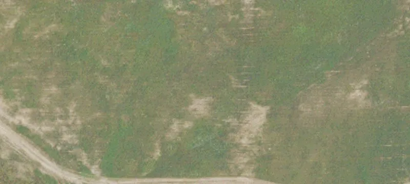 Clare, MI 48617