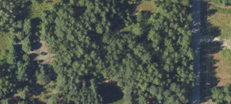 Pellston, MI 49769