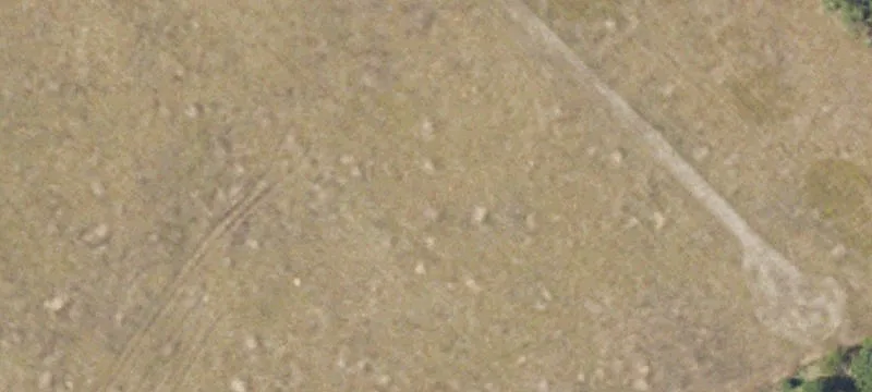Pellston, MI 49769
