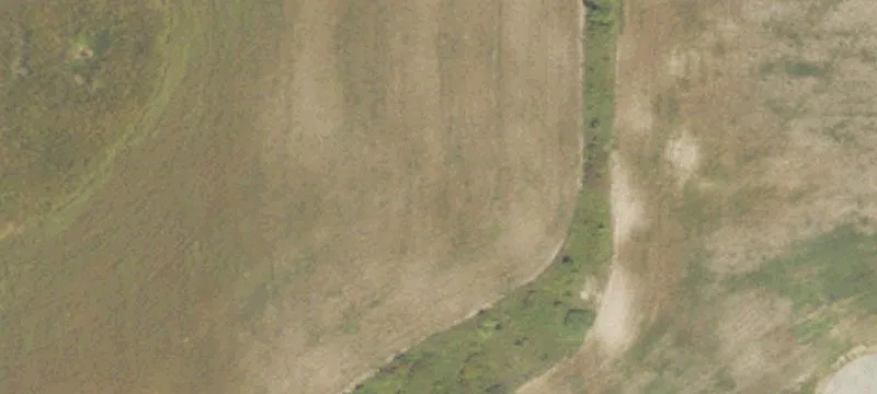 Pioneer Dr