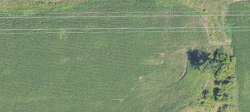 Sheridan, MI 48884