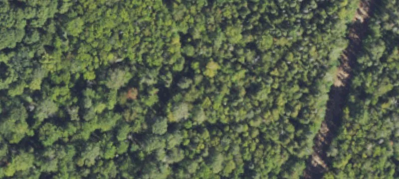 Crystal Falls, MI 49920