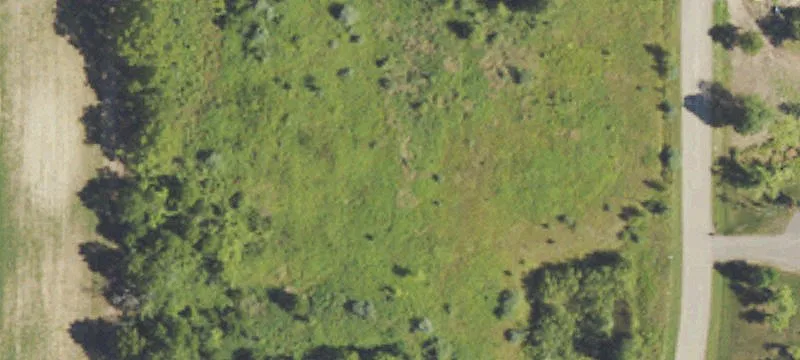 Old Pond Trl