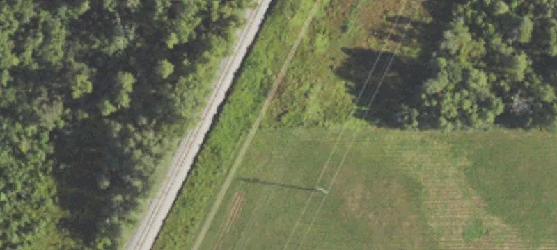 Swartz Rd