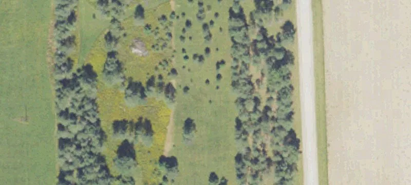 M-55