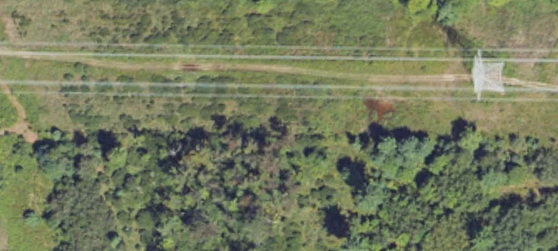 Garfield Rd