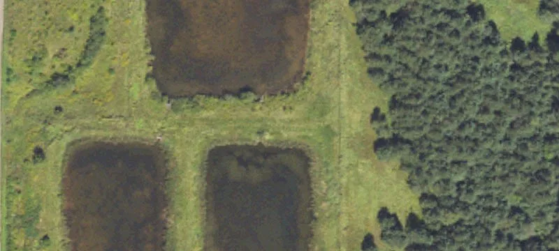 3199 12th Mile Rd