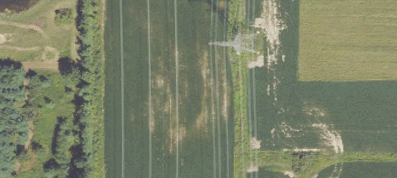 Baroda, MI 49101