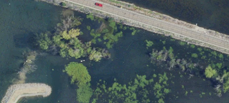 Grosse Ile, MI 48138