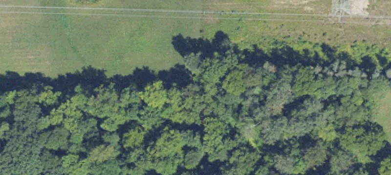 Sheridan, MI 48884