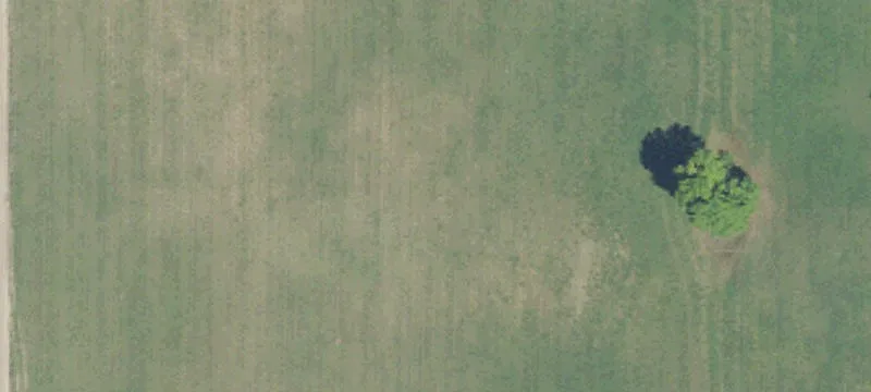 Manton, MI 49663