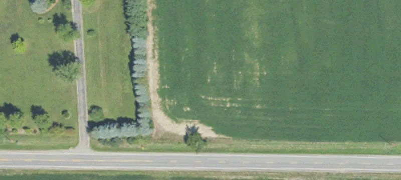 Haslett Rd
