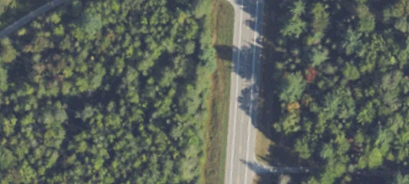 Atlanta, MI 49709