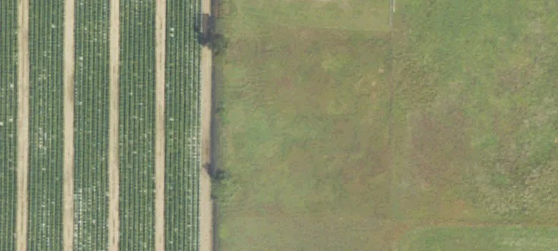 15953 16th Mile Rd