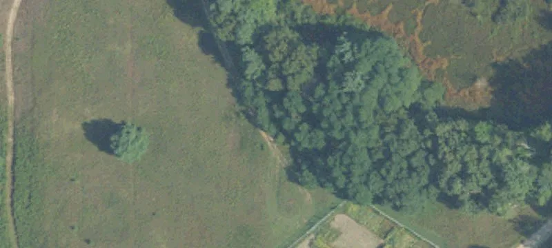 9215 5th Mile Rd