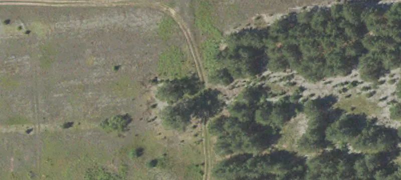 17777 Caldwell Rd