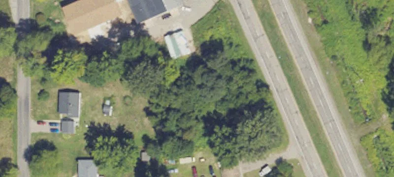 4 Cedarwoods