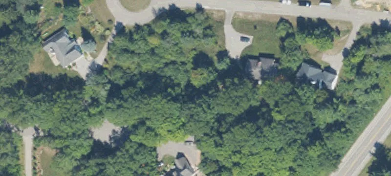 Cedar St