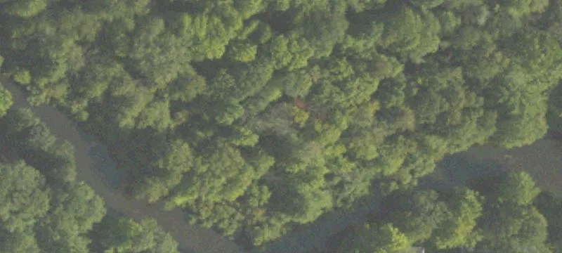 Ee M-20