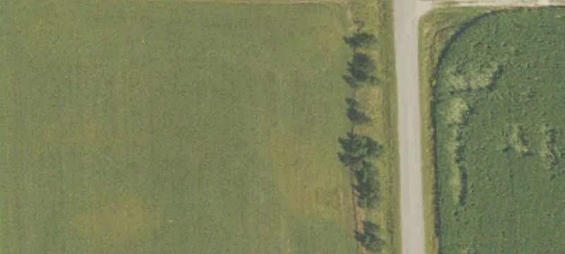 Merritt, MI 49667