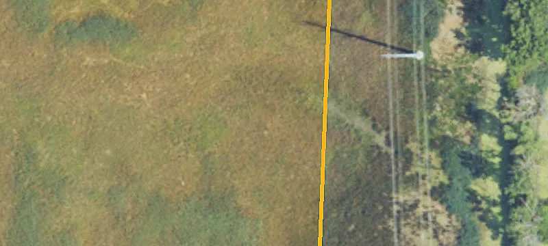 Luna Pier, MI 48157