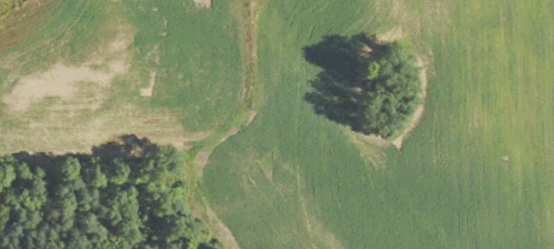 Carpenter Rd